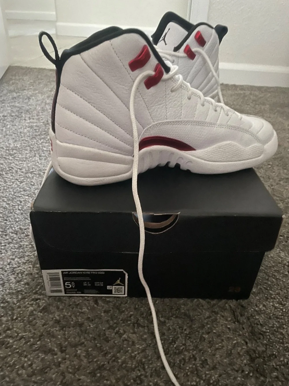 Air Jordan 12 Retro